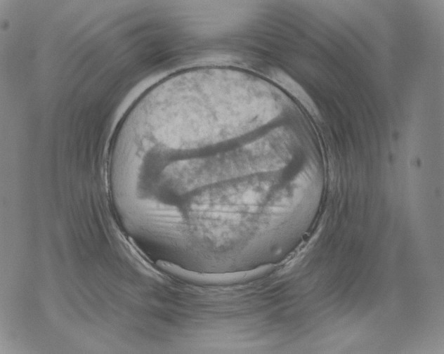 X0000075811436200610151419