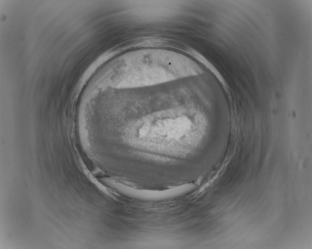 X0000075811437200610151419