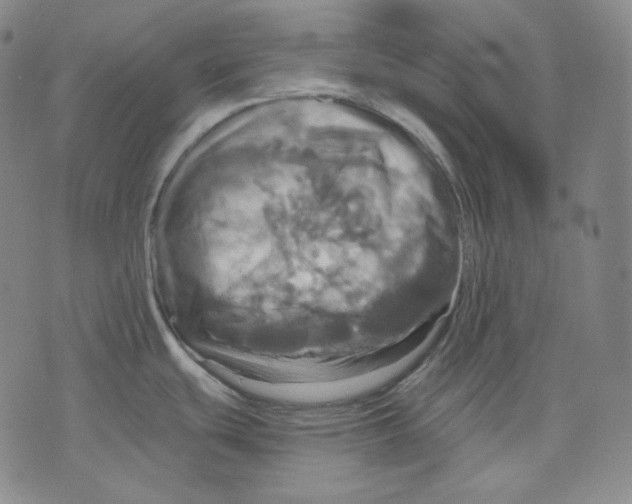 X0000075811439200610151419