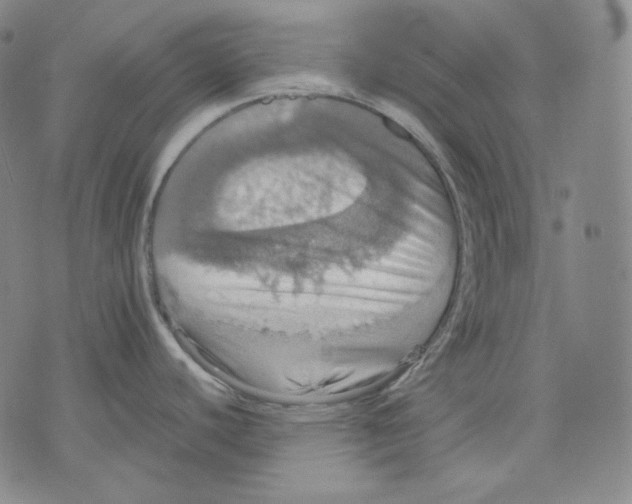 X0000075811440200610151419