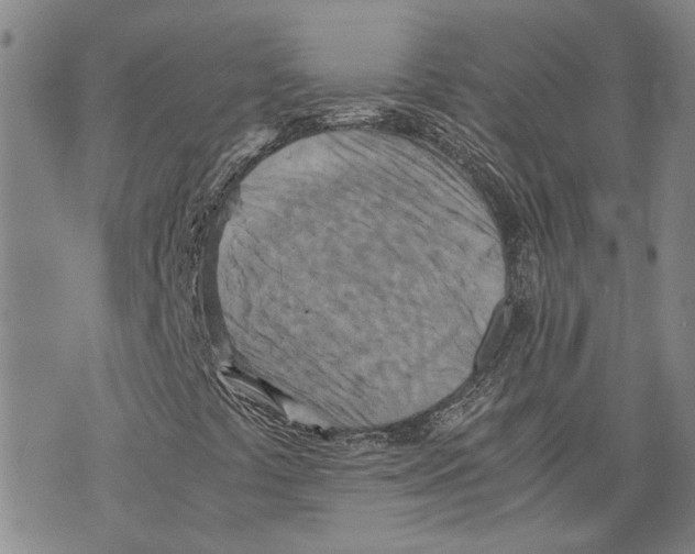 X0000075811441200610151418