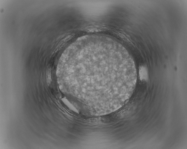 X0000075811444200610151418