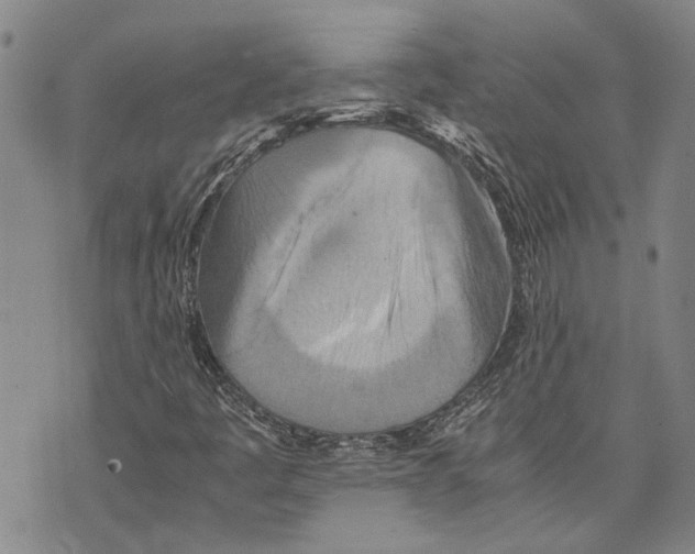 X0000075811445200610151418