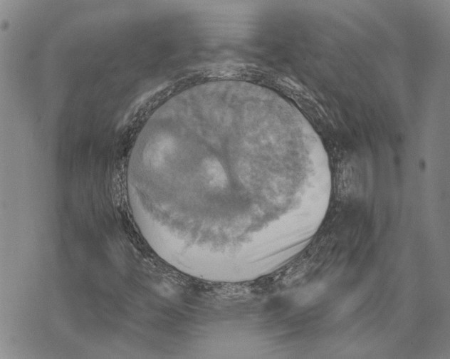 X0000075811446200610151418