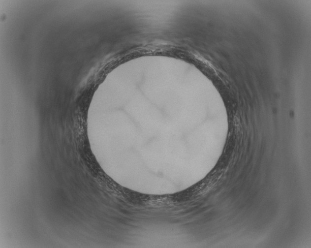 X0000075811447200610151418