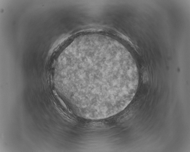 X0000075811448200610151418