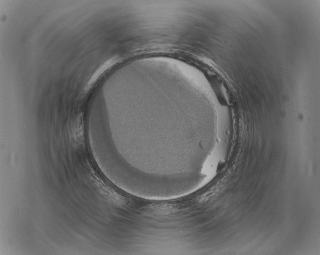 X0000075811450200610151418