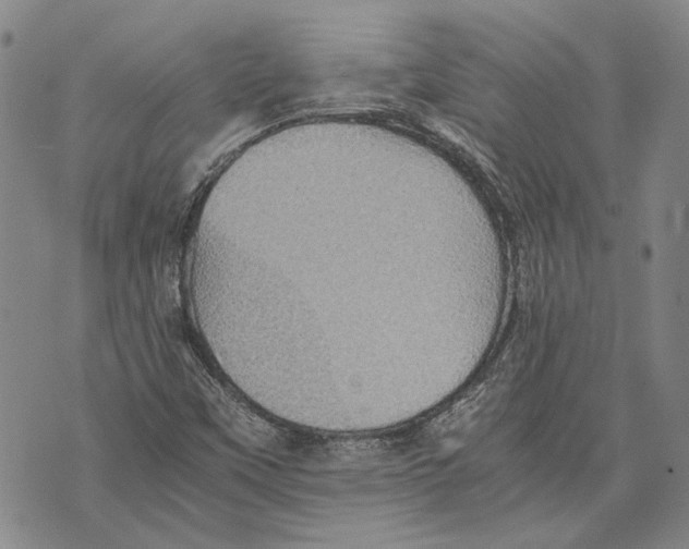 X0000075811451200610151418