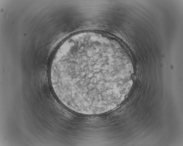 X0000075811452200610151418