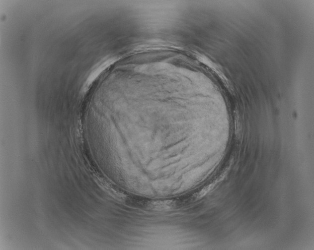 X0000075811453200610151418