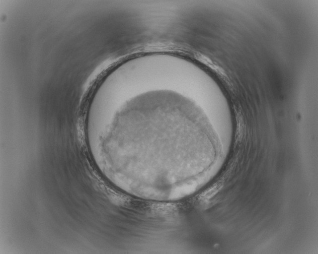 X0000075811454200610151418