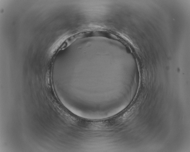 X0000075811455200610151418