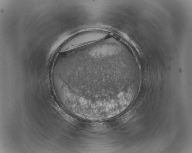 X0000075811456200610151418