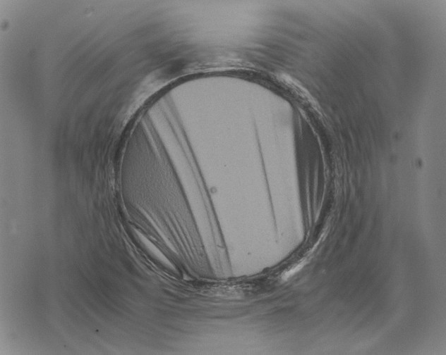 X0000075811457200610151418