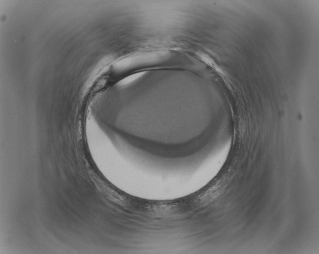 X0000075811459200610151418