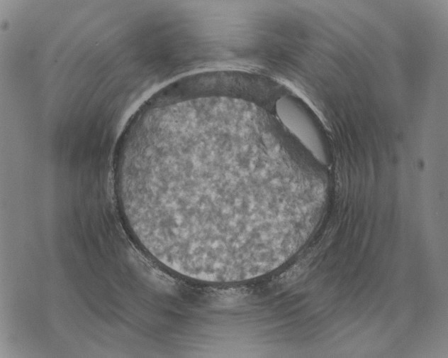 X0000075811460200610151418