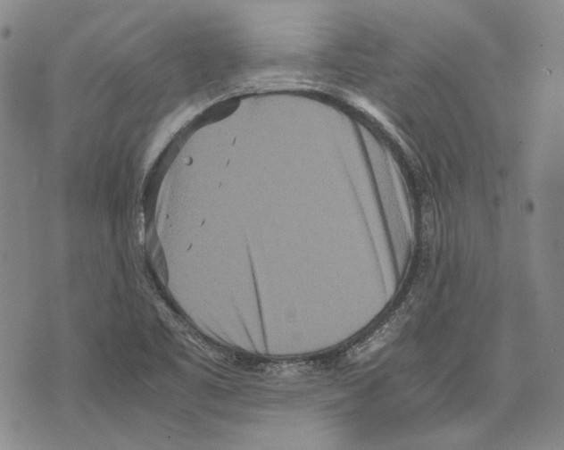 X0000075811461200610151418