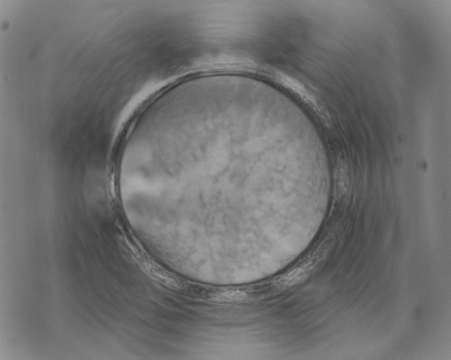 X0000075811462200610151418