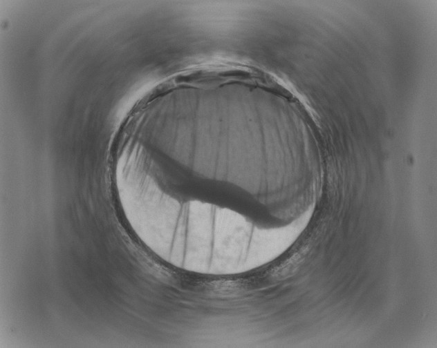 X0000075811463200610151418