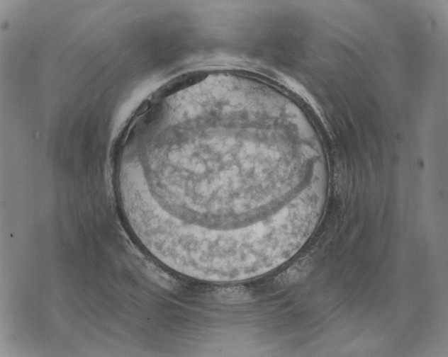 X0000075811464200610151418