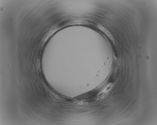 X0000075811465200610151418