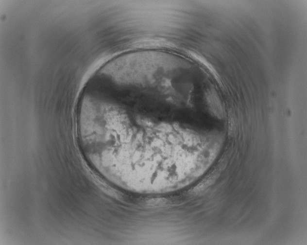 X0000075811467200610151417