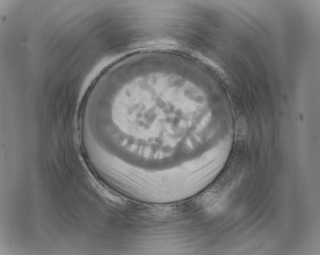 X0000075811470200610151417