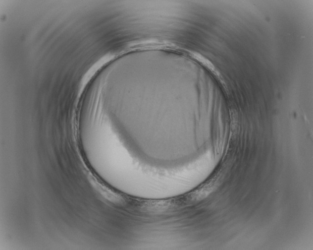 X0000075811474200610151417