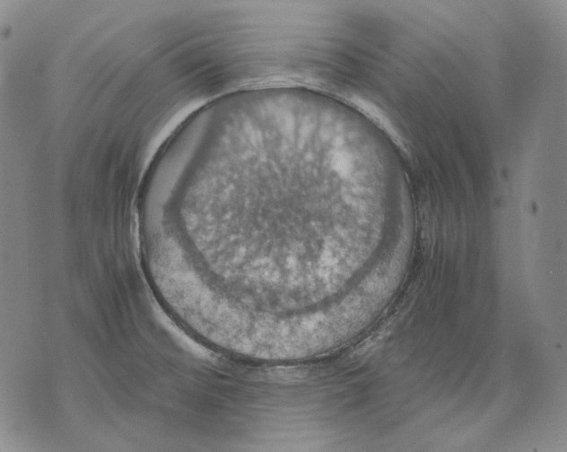 X0000075811476200610151417