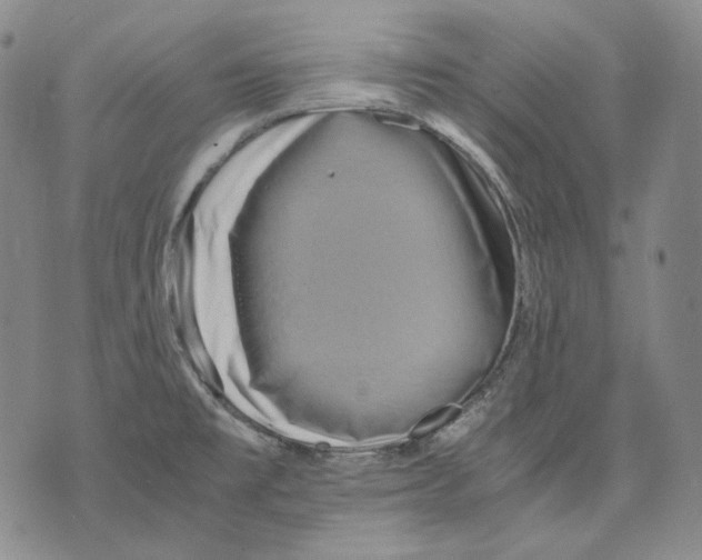 X0000075811477200610151417