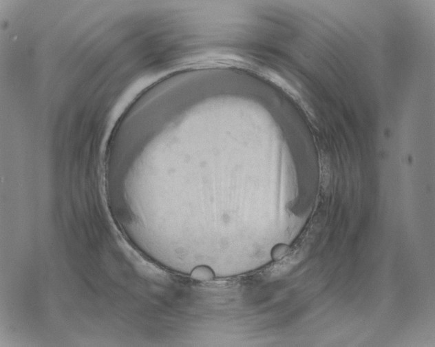 X0000075811478200610151417