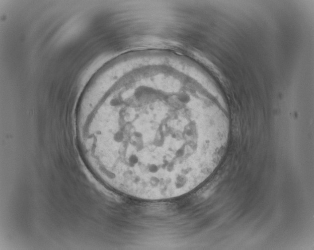 X0000075811479200610151417