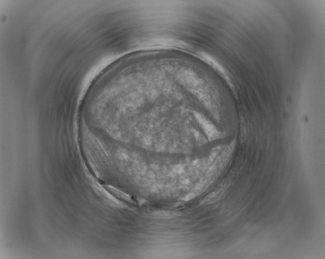 X0000075811480200610151417