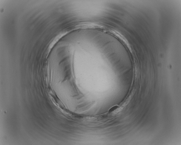 X0000075811481200610151417