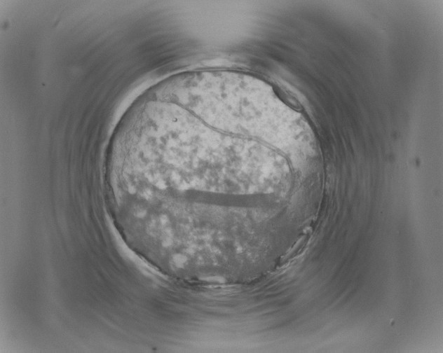 X0000075811483200610151417