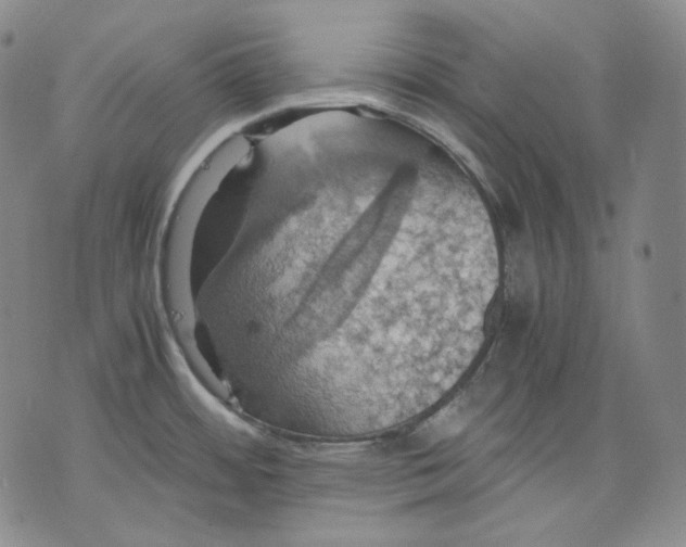 X0000075811484200610151417