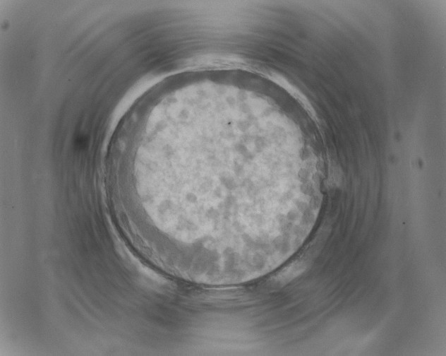 X0000075811486200610151417