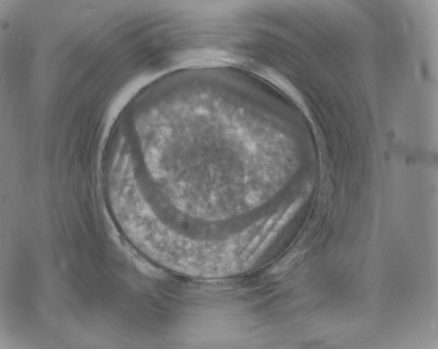 X0000075811488200610151417