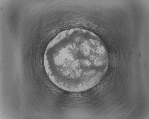 X0000075811489200610151416