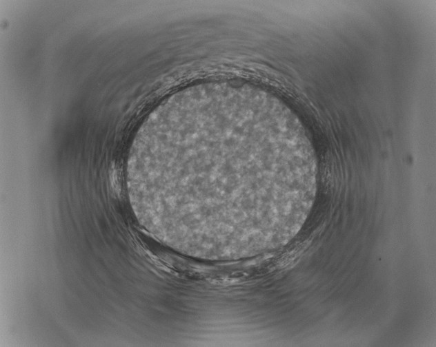 X0000075811490200610151416