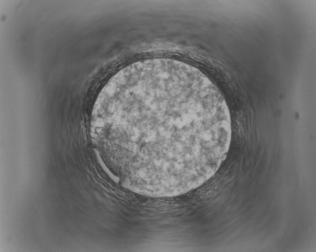 X0000075811493200610151416