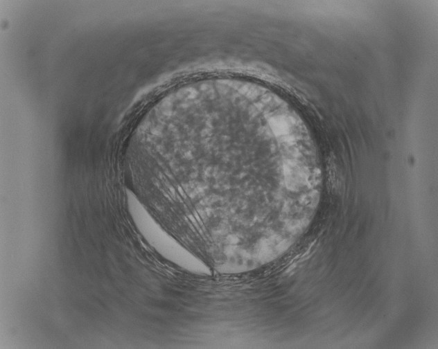 X0000075811494200610151416