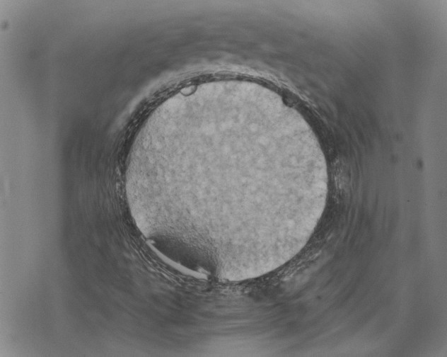 X0000075811495200610151416