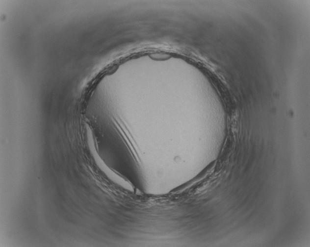 X0000075811496200610151416