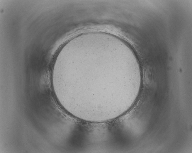 X0000075811498200610151417