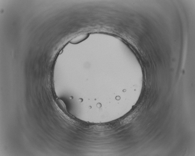 X0000075811500200610151417