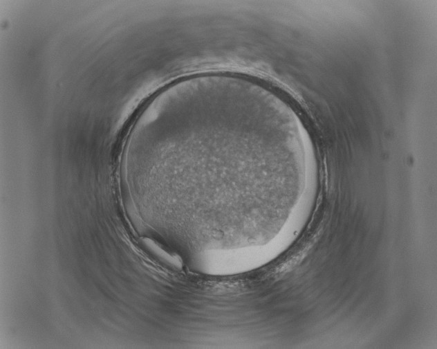 X0000075811501200610151417