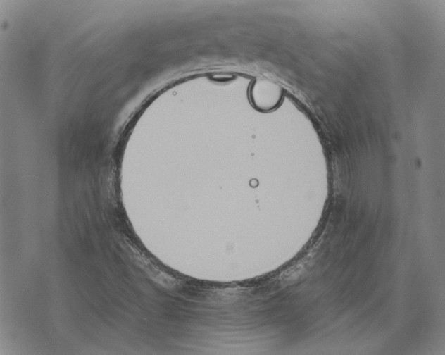 X0000075811502200610151417