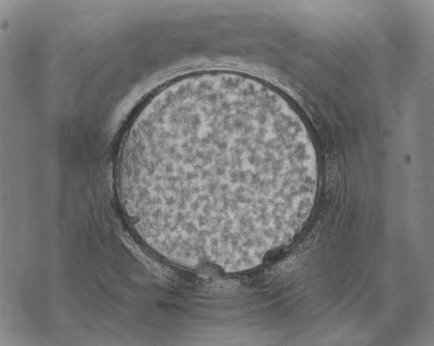 X0000075811503200610151417