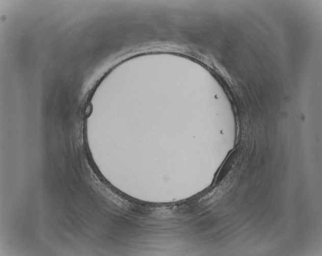 X0000075811504200610151417